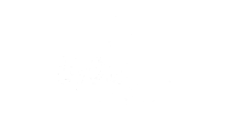 Logo du client Lyon E-SPORT